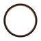 Pai Seal, 6 In Free Id X 6.757 In Od X 0.42 In Width 152.4 Mm Free Id X 171.62 Mm Od X 10.68 Mm Width ESE-7969 - alternate 4